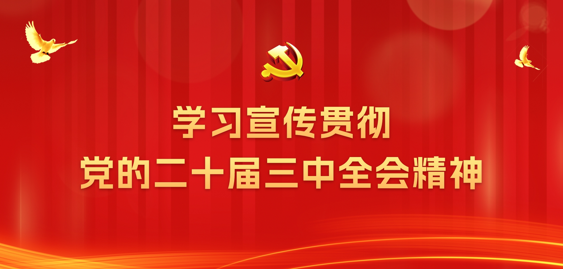 二十屆三中全會大圖